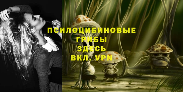 apvp Аркадак