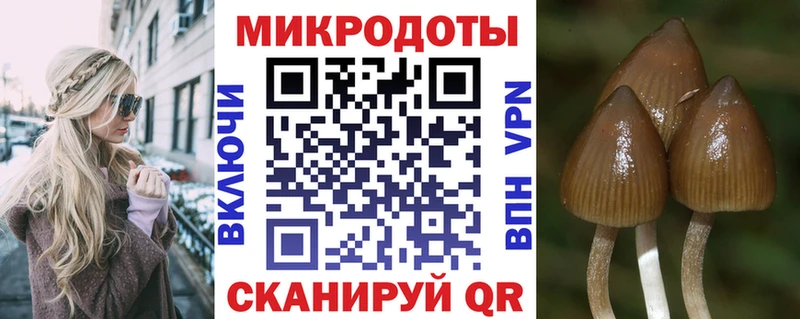 Купить закладки  Шацк  Галлюциногенные грибы Cubensis 